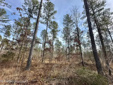 10 Dry Grove Rd, Terry, MS 39170 photo 5