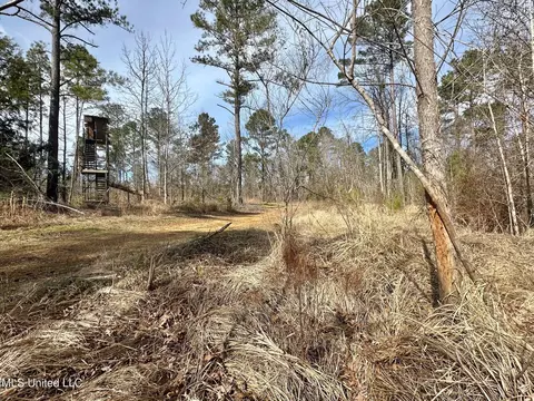 10 Dry Grove Rd, Terry, MS 39170 photo 31