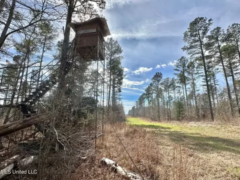 10 Dry Grove Rd, Terry, MS 39170 photo 32
