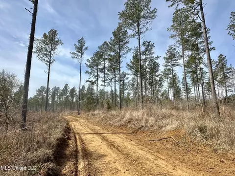10 Dry Grove Rd, Terry, MS 39170 photo 3