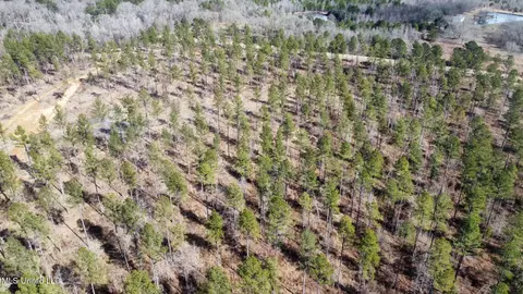 10 Dry Grove Rd, Terry, MS 39170 photo 20