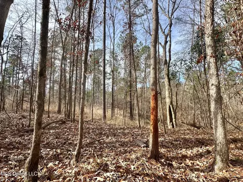 10 Dry Grove Rd, Terry, MS 39170 photo 33