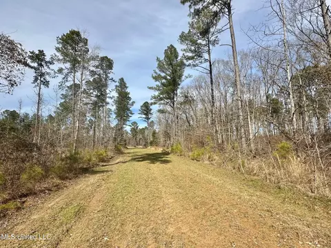 10 Dry Grove Rd, Terry, MS 39170 photo 27