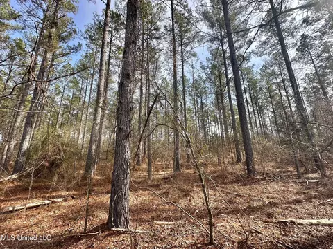 10 Dry Grove Rd, Terry, MS 39170 photo 12