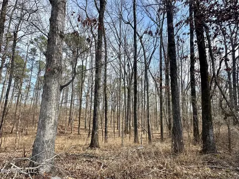 10 Dry Grove Rd, Terry, MS 39170 photo 28