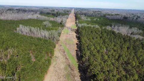 10 Dry Grove Rd, Terry, MS 39170 photo 17