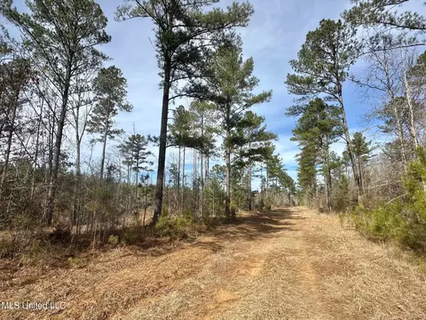 10 Dry Grove Rd, Terry, MS 39170 photo 24