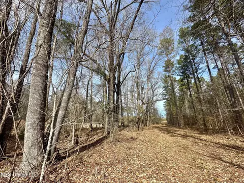10 Dry Grove Rd, Terry, MS 39170 photo 8