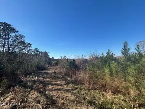 Robert Jones Road, Summit, MS 39666 photo 8