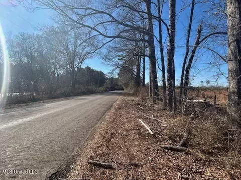 Robert Jones Road, Summit, MS 39666 photo 14
