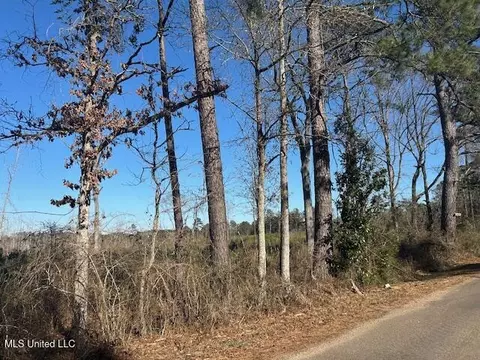 Robert Jones Road, Summit, MS 39666 photo 13
