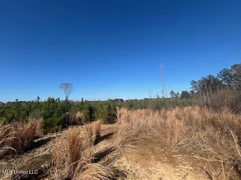 Robert Jones Road, Summit, MS 39666 photo 5
