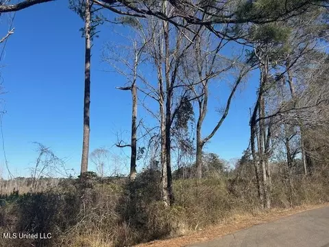 Robert Jones Road, Summit, MS 39666 photo 17