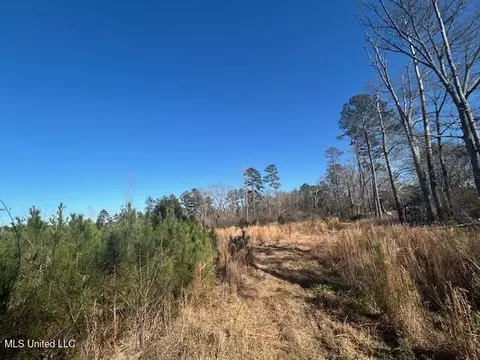 Robert Jones Road, Summit, MS 39666 photo 11