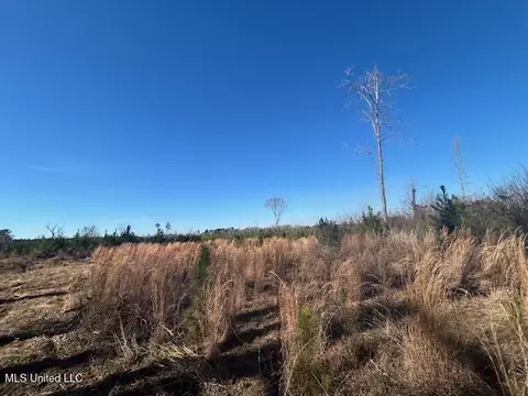 Robert Jones Road, Summit, MS 39666 photo 3
