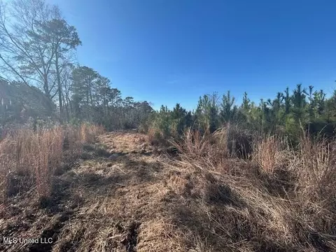 Robert Jones Road, Summit, MS 39666 photo 7