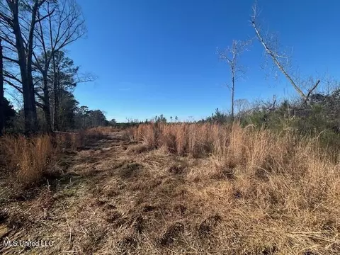 Robert Jones Road, Summit, MS 39666 photo 2
