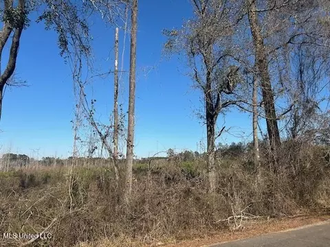 Robert Jones Road, Summit, MS 39666 photo 15