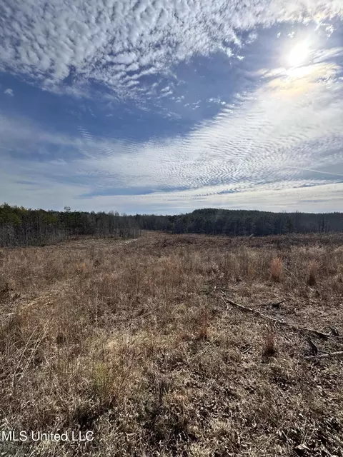 Bagasha Road, Vaiden, MS 39176 photo 38