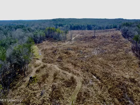 Bagasha Road, Vaiden, MS 39176 photo 30