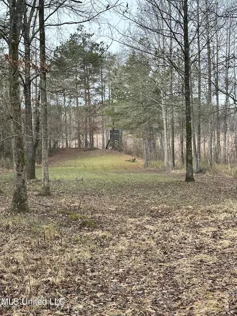 Bagasha Road, Vaiden, MS 39176 photo 56