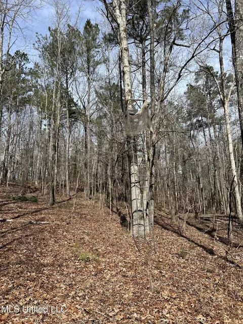 Bagasha Road, Vaiden, MS 39176 photo 15