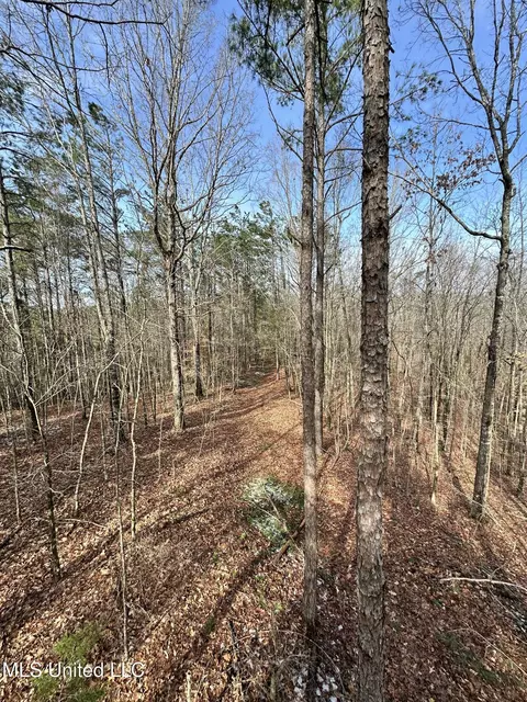 Bagasha Road, Vaiden, MS 39176 photo 33