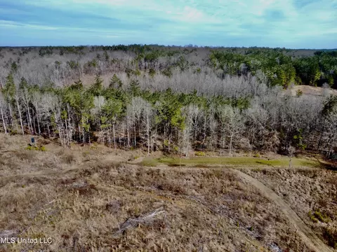 Bagasha Road, Vaiden, MS 39176 photo 29
