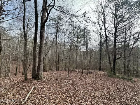 Bagasha Road, Vaiden, MS 39176 photo 31
