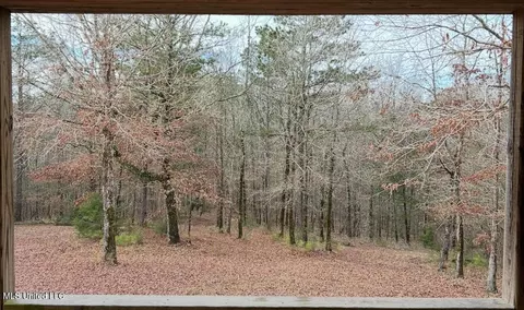 Bagasha Road, Vaiden, MS 39176 photo 47