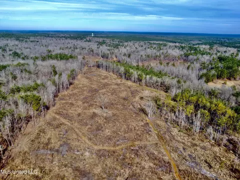 Bagasha Road, Vaiden, MS 39176 photo 28