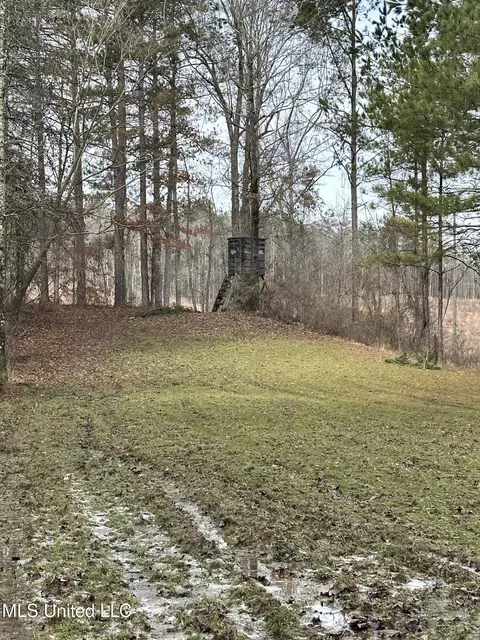 Bagasha Road, Vaiden, MS 39176 photo 58