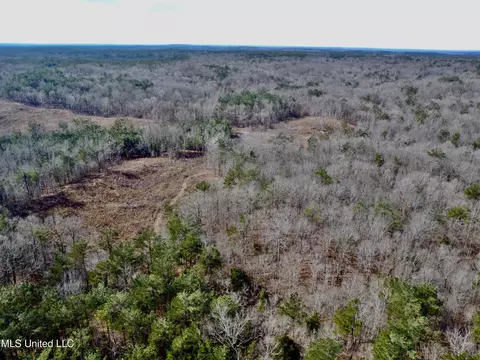 Bagasha Road, Vaiden, MS 39176 photo 18