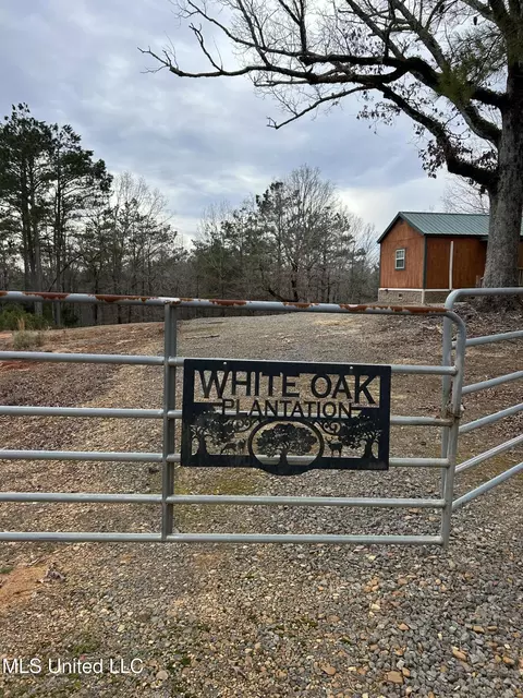 Bagasha Road, Vaiden, MS 39176 photo 3