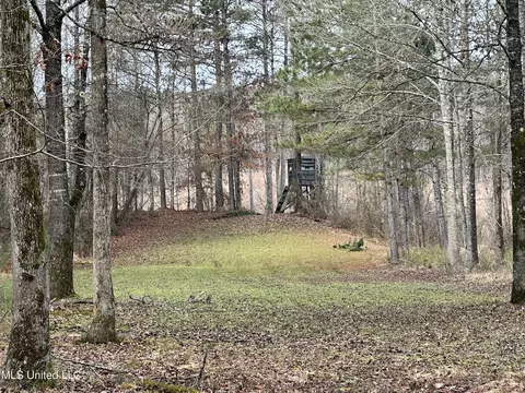 Bagasha Road, Vaiden, MS 39176 photo 55