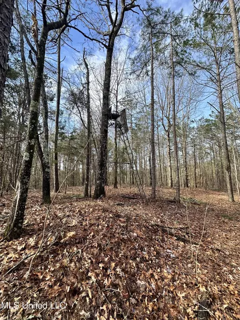 Bagasha Road, Vaiden, MS 39176 photo 32