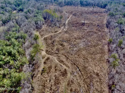 Bagasha Road, Vaiden, MS 39176 photo 23