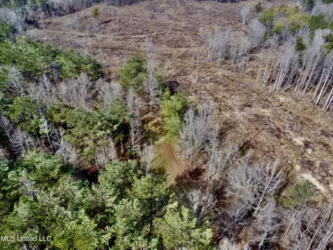Bagasha Road, Vaiden, MS 39176 photo 19