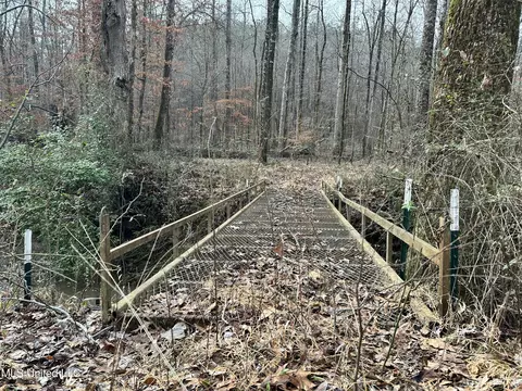 Bagasha Road, Vaiden, MS 39176 photo 48