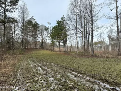Bagasha Road, Vaiden, MS 39176 photo 57