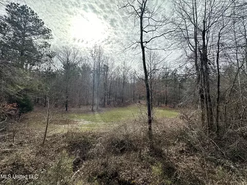Bagasha Road, Vaiden, MS 39176 photo 59