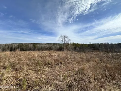 Bagasha Road, Vaiden, MS 39176 photo 36