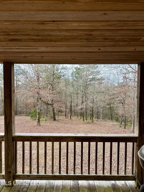 Bagasha Road, Vaiden, MS 39176 photo 45