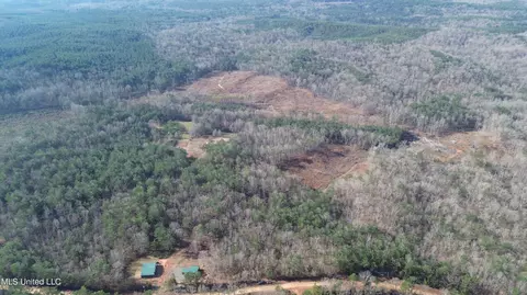 Bagasha Road, Vaiden, MS 39176 photo 12