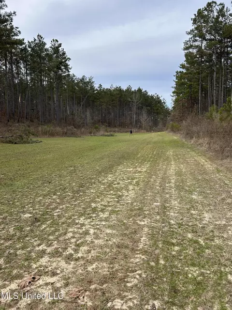 Bagasha Road, Vaiden, MS 39176 photo 16