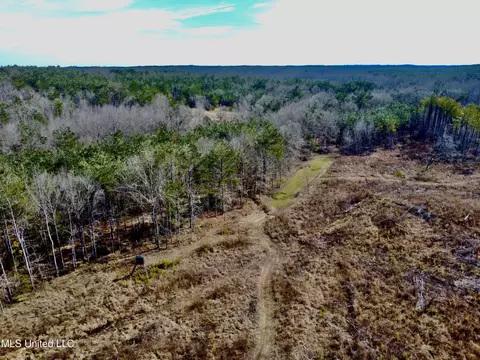 Bagasha Road, Vaiden, MS 39176 photo 22