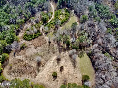 Bagasha Road, Vaiden, MS 39176 photo 11