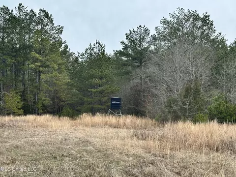 Bagasha Road, Vaiden, MS 39176 photo 50