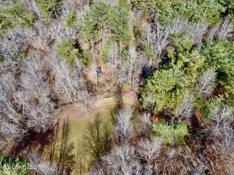Bagasha Road, Vaiden, MS 39176 photo 20