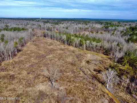 Bagasha Road, Vaiden, MS 39176 photo 21